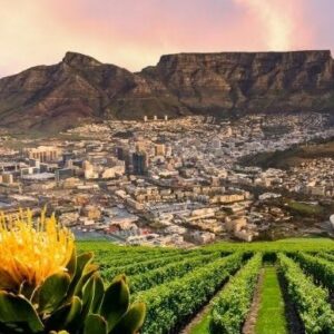 PAWES CPT 25- Registration Excluding Accommodation :